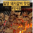 밀양189 | 밀양 암새들 돼지갈비｜가족모임 하기 괜찮았던 이유
