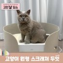 올데이펫 | 고양이 스크래쳐 원형 두잇 올데이보드 네이버 펫 바우처 할인 후기