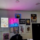 한나루로86번길 | 인천파충류샵 욜로게코 크레스티드게코 싸게 분양받는 팁 &amp; 사육방법