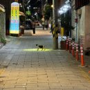 [24년 7월 일상1] 모아보니 돈만 썼네