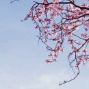 천상선녀님 이미지
