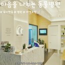 남서울동물병원 이미지