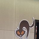 아비앙또 이미지