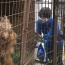 사체농장 이미지