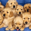 둔산동물병원 이미지