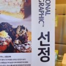 강릉오빠 이미지
