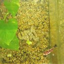 오션 뉴트리션 이미지