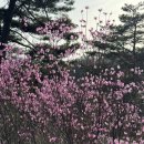 삼학도 무장애길 입구 | 횡성숲체원 1박2일 힐링여행 무장애숲길 맨발길 뒷말동 숙박 식당 이용 후기