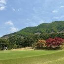 블루원CC (대중제) 이미지