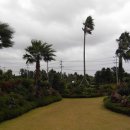 표선리-3 이미지