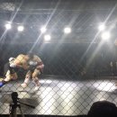 오케이 복싱 Daum카페