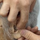 오티콘보청기대전대덕점 이미지