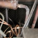 한샘정육점 이미지