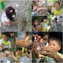 숲소리어린이집 이미지