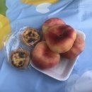 메디컬그린약국 | 먹는거 말고도 쓰고 싶어요