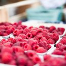 동북약국 이미지