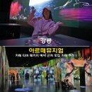 강릉 아르떼뮤지엄 카페 티바 패키지 예약 근처 맛집 카페 추천
