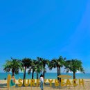 양양오성한우 | 양양 서피비치 숙소 부커스 비치 모텔 (feat, 미국감성 가성비갑)