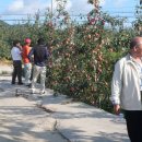 한민농장 이미지