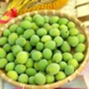 인주관암1리경로당 | [봄꽃 라이딩 ② : 매화] - 충남 삽교천(운정)터미널, 삽교천방조제, 정매원(매화농장), 공세리성당...
