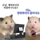 도마도 네이버블로그