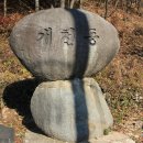 오자경 묘 Daum카페