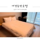 호텔N | 속초호텔추천 속초아이파크스위트호텔 애견동반호텔 N번째 방문후기!