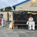 곰아저씨애견샵 네이버블로그