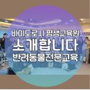 바이도로시평생교육원
