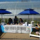 홍매원 이미지