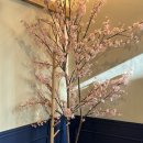 호오마카세 | 김해 율하 기념일에 가기좋은 식당-호오마카세 디너스페셜 후기