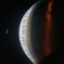 탕정동물의료센터 이미지