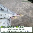 청정다방 이미지
