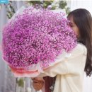 꽃뜰 | 대형꽃다발 추천 고민 끝낸 선택 💐 자이언트 안개꽃 꽃뜰 후기