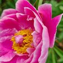 송이세탁소 이미지