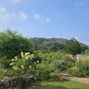 아이프스테이 이미지