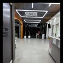 남원동물병원