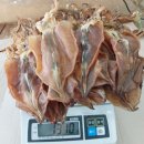 건어물(멸치,김,미역,감태김,다시마,미역귀,우뭇가사리,청각,홍합살,꼴뚜기,새우,감태,청각,밥새우,갈파래,풀치,쥐포,건명태,배오징 이미지