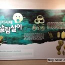 교원 호평센터