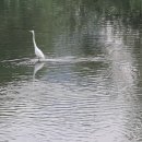 뉴현대부동산공인중개사사무소 이미지