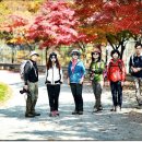 삼성산터널길 이미지