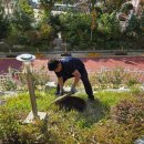 여기피씨 | 광양하수구 문제, 피씨건설에 의뢰한 솔직 후기