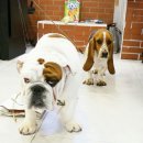 알콩달콩 이미지