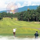 주식회사 아라오라 이미지