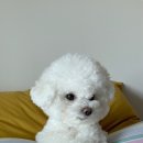 설렘 이미지