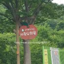 사창유치원