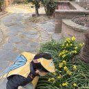 든해솔유치원 이미지