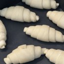 금관사과향기 | 첫 이주일