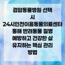 검암동물병원 이미지