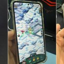 롤링버니즈 이미지